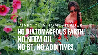 Natural, No Additive, Pest & Disease-Free Garden / Diary of a Permaculture Homesteader