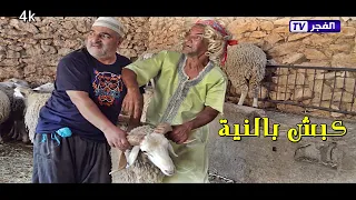 سكاتش كبش بالنية  #سكاتش _كبش_بالنية 🤣🤣 #خروف_بالنية