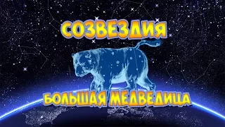 Созвездие Большая медведица. Познавательное видео для детей