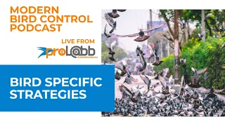 Modern Bird Control Podcast - Episode: Bird Specific Strategies