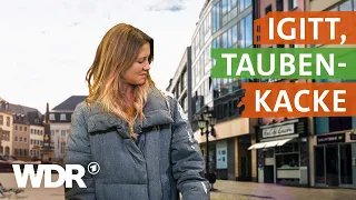 Was tun gegen Tauben in der Stadt? | neuneinhalb – Deine Reporter | WDR