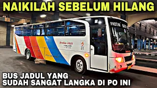 Naikilah Sebelum Hilang ❗️ Bus Jadul Yang Sudah Langka Di PO Ini ❗️| trip Aneka Jaya AE 7010 UX