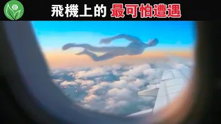 搭飛機時這些最可怕遭遇，如果乘客沒有偶然用相機記錄下來，根本沒人會相信【探索旅行號】