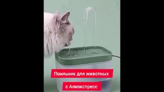 Поильник для животных. Фонтанчик для котов с Алиэкспресс