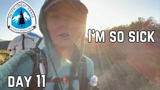 Day 11 | Getting Sick 🤒 But Still Needing to Hike the Miles| Pacific Crest Trail Thru Hike