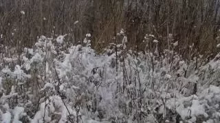 Первый снег -  зимняя мелодия