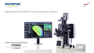 FV3000 Confocal Laser Scanning Microscope