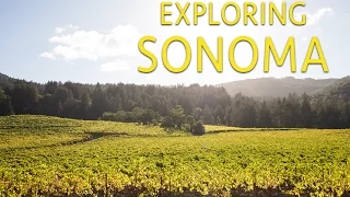 Exploring Sonoma: Where to Eat, Drink, Hike and Relax