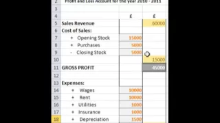 Business Finance: Profit and Loss Account Tutorial