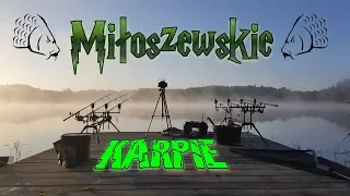 Karpie z magicznej wody....... #Jezioro Miłoszewskie