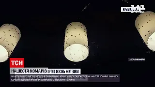 Новини світу: нашестя комарів у Криму забрало одне життя