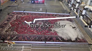 Persian rug cleaning service in  A Video