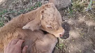 ¡¡¡Hoy premio!!! un peluche😍