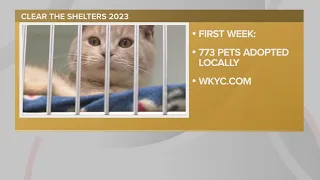 Clear the Shelters 2023: 773 pets adopted in Northeast Ohio during the first week