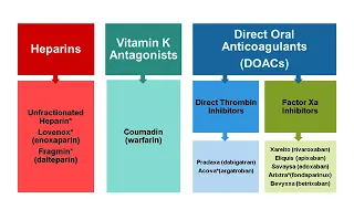 Webinar | What's New in Anticoagulation Therapy?