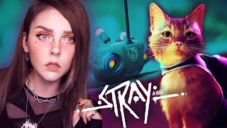 Котишкин финал│STRAY│ 2022【#2】