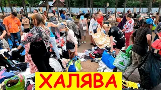 Поход на барахолку Санкт-Петербурга. Всё БЕСПЛАТНО, если успеешь.  Блошиный рынок на Удельной