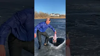 14 ФЕВРАЛЯ! С ДНЁМ ВЛЮБЛЁННЫХ ❤️