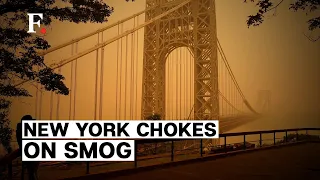 New York Skies Turn Orange as City Deals with Plunging Air Quality. Here's Why