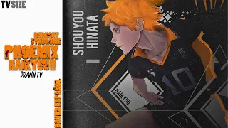 Haikyuu!! TO THE TOP OP "Phoenix" COVER (ESPAÑOL/LATINO)