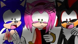 Sonic, Shadow & Amy se Buscan en Internet Parte 2 (ft.☆꧁A Typical Girl꧂☆)