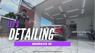 Car detailing Mazda CX-30 : Full step