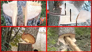 Special Tree Cutting Techniques For Difficult Situations Compilation