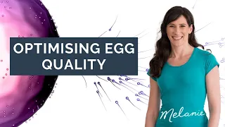 How to optimise your egg quality - dietitian tips