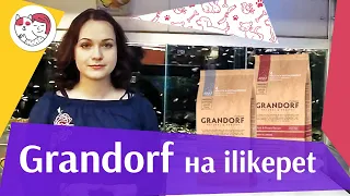 Grandorf на ilikepet