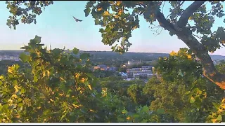 TAKODA FLEDGES!! What A Beautiful Maiden Flight! 💕 😊 DC National Arboretum Eaglecam  6.19.22