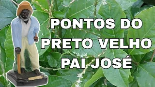 PONTOS DO PRETO VELHO PAI JOSÉ (COM LETRAS) || RICK DE OXUM