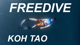 เรียนดำน้ำแบบฟรีไดฟ์ที่เกาะเต่า Freediving LV1 Koh Tao  [LEAFANT AQUA EP.1]