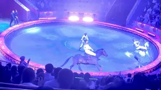 Russian Circus Horses Show -4