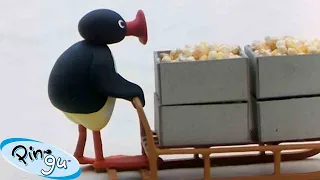 Pingu's Big Adventures 🐧 | Pingu - Official Channel | Cartoons For Kids
