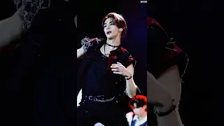 Hyunjin STRAY KIDS & FIREROSES DANCE #skz #hyunjin #kpop