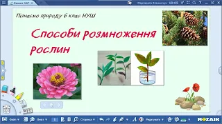 Пізнаємо природу 6 клас НУШ Способи розмноження рослин