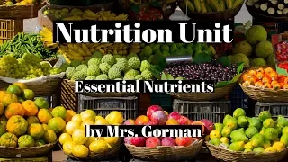 nutrition- Six essential nutrients