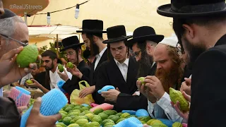 Erev Sukkot in Jerusalem - 2022