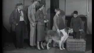 Lassie - Episode 49 - "The Visitor" - Season 2, #23 (02/12/56)