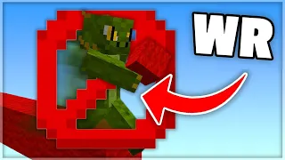 How I Faked A Minecraft World Record...