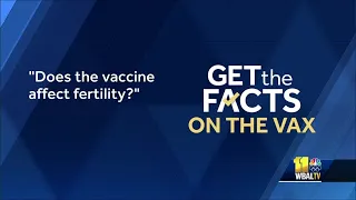 Does the COVID-19 vaccine affect fertility?