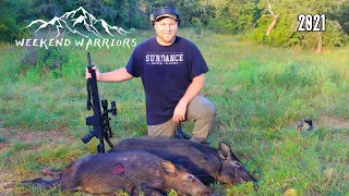 Revenge on the pigs | FERAL HOG HUNT [6.5 Grendel and 5.56 shots on pigs]