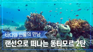 [랜선여행✈️] 투명한 바다 속에서 스노쿨링 낚시도 하는 동티모르 2탄 [정글의 법칙|SBS 방송]