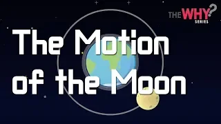 [Why series] Earth Science Episode 9 - The Motion of the Moon