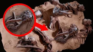 The Creepiest & Most Scary Ancient Discoveries