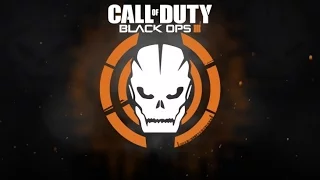 Call of Duty® Black ops III how to set up a controller for split-screen