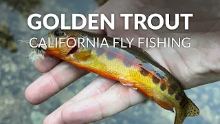 FLY FISHING CALIFORNIA | Golden Trout & Alpine Lakes | Eastern Sierras