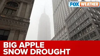 Snow Drought in NYC: New York City Sees Fourth Longest Snow-Free Stretch