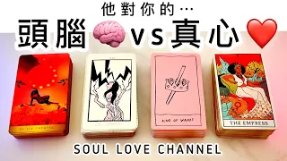 【CC字幕】直白🪬慎入⚡️他對你的🧠想法vs￼❤️對你的感覺🥰😧 曖昧/地下戀情/複雜關係/分手/斷聯適用 香港塔羅占卜【SOUL LOVE CHANNEL】【MINI ASMR】他喜歡你嗎