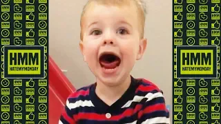 1 HOUR TRY NOT TO LAUGH   Best Funny Videos! Best of 2019